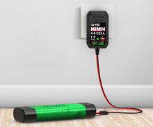 SKY RC EN18 NIMH AC CHARGER (1) - SK-100184