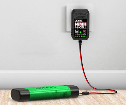 SKY RC EN18 NIMH AC CHARGER (1) - SK-100184