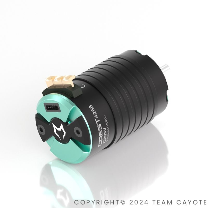 CAYOTE 1/8 CREST 4268 Brushless Motor for 1/8